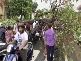 उत्तराखंड :  देहरादून में जबरदस्त बारिश से हालात खराब, नदी में बही कारें उत्तराखंड :  देहरादून में जबरदस्त बारिश से हालात खराब, नदी में बही कारें