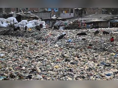 'कचरा और गंदा पानी की सफाई में गंभीर खामियां,' NGT ने उठाया सवाल, पढ़ें और क्या कुछ कहा 