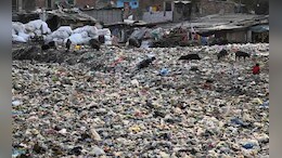 'कचरा और गंदा पानी की सफाई में गंभीर खामियां,' NGT ने उठाया सवाल, पढ़ें और क्या कुछ कहा&nbsp;