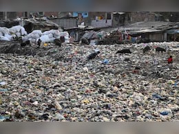 'कचरा और गंदा पानी की सफाई में गंभीर खामियां,' NGT ने उठाया सवाल, पढ़ें और क्या कुछ कहा&nbsp;