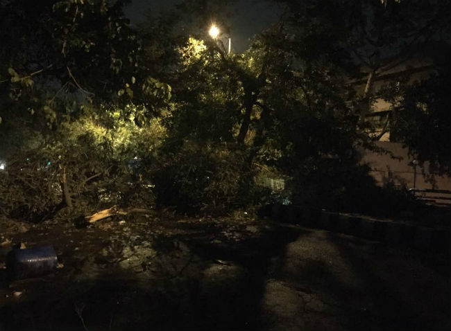 दिल्ली-NCR में तेज धूल भरी आंधी के साथ हल्की बारिश, कई इलाकों में बिजली गुल