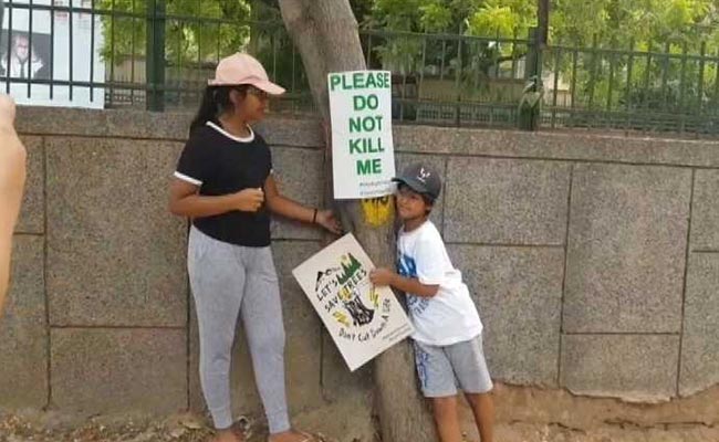 No More Delhi Trees To Be Cut Till July 4, Says High Court