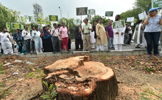 Safdarjung Residents Hold Protest March To Save Trees In Delhi