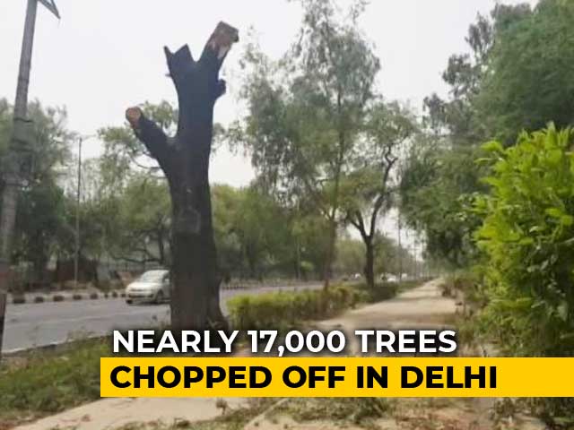 17,000 Trees To Be Felled In Delhi For Government Housing: Official