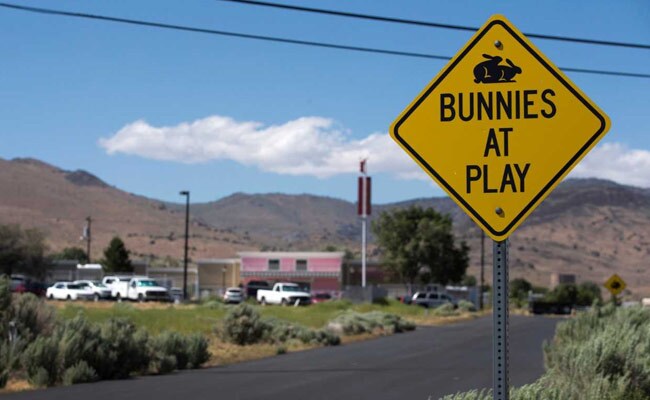 dennis hof (reuters)