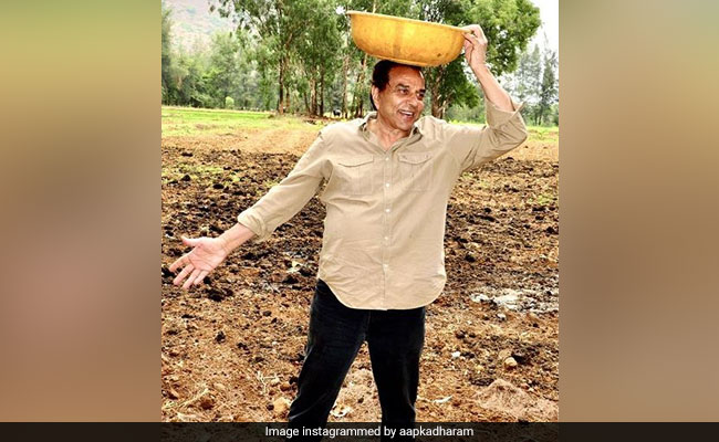 Dharmendra: ग्लैमर की जिंदगी छोड़ खेतों में पसीना बहा रहे धर्मेंद्र, कभी गाय को खिलाया चारा तो कभी की खेती