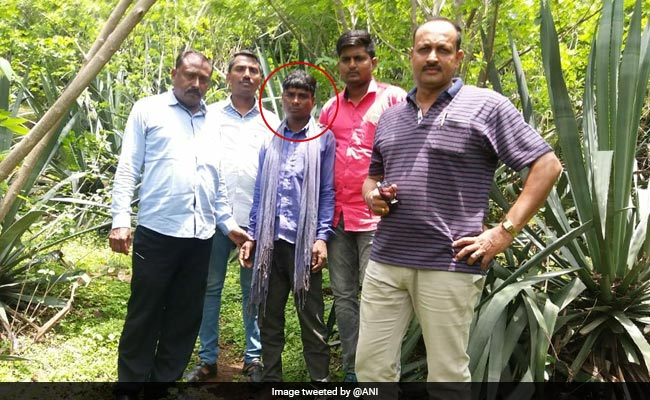 Another Accused In Mob Killing Of 5 Men In Maharashtra's Dhule Arrested
