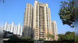 DLF Q2 Results: Net Profit Rises 10% To Rs 1,301 Crore, Revenue Down 23% YoY