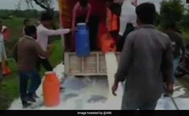 Milk Spilled On Maharashtra Roads In Price Protest