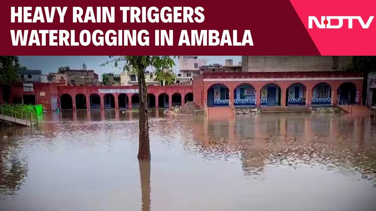 Haryana News | Heavy Rain Triggers Waterlogging In Ambala, Floodwater Enters School