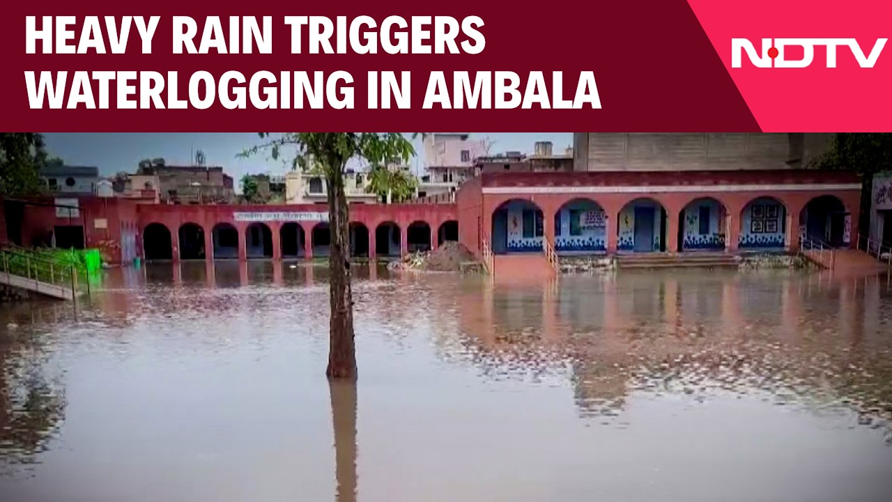 Haryana News | Heavy Rain Triggers Waterlogging In Ambala, Floodwater Enters School