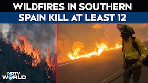 Spain Wildfire | At Least 12 Killed, 19 Missing In One Of Deadliest Spain Wildfires