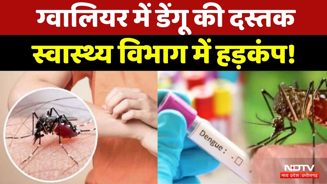 Gwalior Dengue Case: ग्वालियर में मिला डेंगू का पहला मरीज मिला, स्वास्थ्य विभाग में मचा हड़कंप!