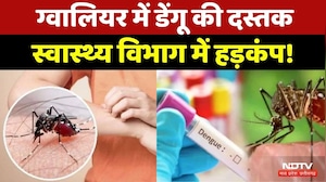 Gwalior Dengue Case: ग्वालियर में मिला डेंगू का पहला मरीज मिला, स्वास्थ्य विभाग में मचा हड़कंप!