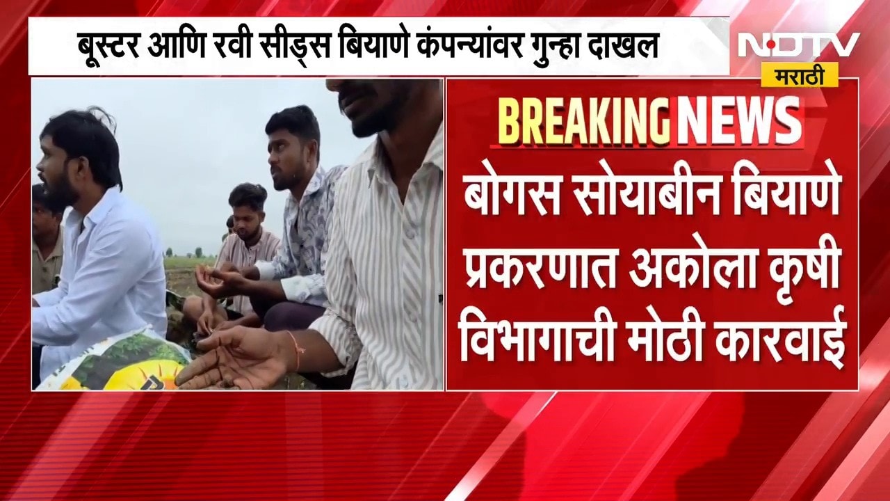 Bogus Seeds | बोगस सोयाबीन बियाणे प्रकरण; अकोला, अमरावतीतील कंपनीवर कारवाई | NDTV Marathi