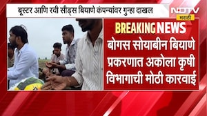 Bogus Seeds | बोगस सोयाबीन बियाणे प्रकरण; अकोला, अमरावतीतील कंपनीवर कारवाई | NDTV Marathi