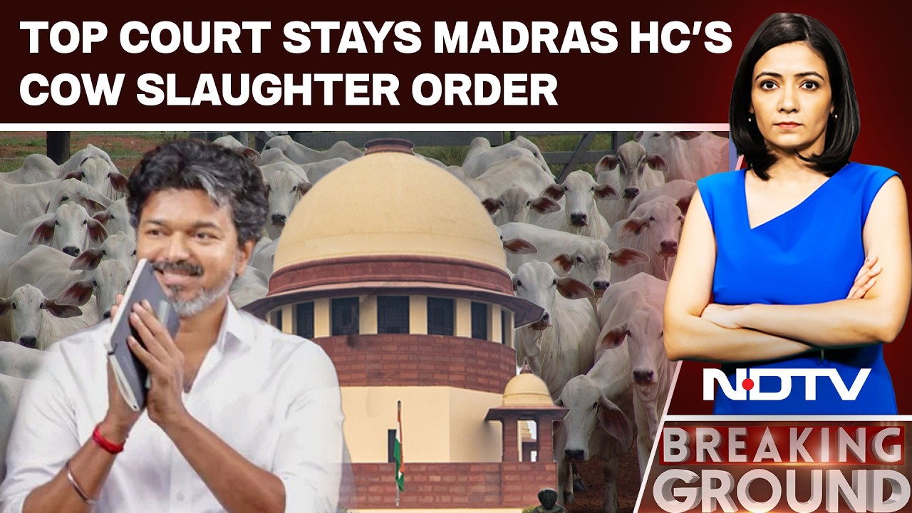 Vijay Government Secures Supreme Court Stay Against Cow Slaughter Ban Order