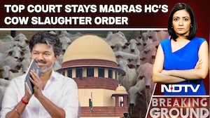Vijay Government Secures Supreme Court Stay Against Cow Slaughter Ban Order