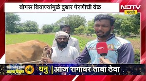 Monsoon Update | राज्यात पावसाची दडी, पिकांची नासाडी, बोगस बियाण्यांमुळे दुबार पेरणीची वेळ