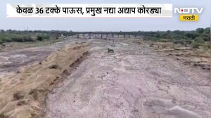 Jalna Rain Update | जालना जिल्ह्यात केवळ 36 टक्के पाऊस, प्रमुख नद्या अद्याप कोरड्या | NDTV Marathi