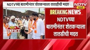 NDTV Impact | Nandurbar | NDTV ने बातमी दाखवताच शिंदेंनी घेतली दखल, शेतकऱ्याला बैलाची मदत