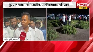 Pune |  पुण्यात पावसाची उघडीप, पालेभाज्यांवर परिणाम; दरात मोठी वाढ | NDTV Marathi