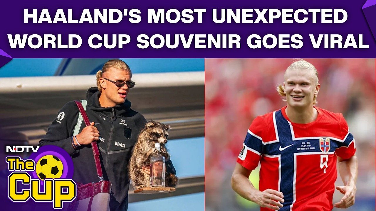 Not Golden Boot! Erling Haaland Returns Home with a Stuffed 'Whiskey Raccoon' After World Cup Exit