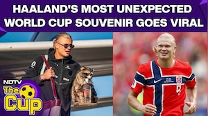 Not Golden Boot! Erling Haaland Returns Home with a Stuffed 'Whiskey Raccoon' After World Cup Exit
