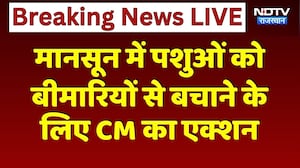 Jaipur News: Monsoon में पशुओं को बीमारियों से बचाने के  लिए CM Bhajanlal का एक्शन
