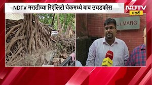 Chembur मध्ये शाळा परिसरात धोकादायक झाडं; NDTV मराठीच्या Reality Check मध्ये बाब उघडकीस
