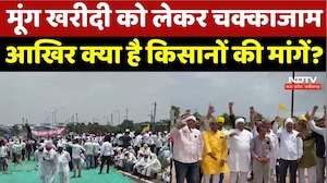 Harda Farmer Protest: मूंग खरीदी को लेकर चक्काजाम, आखिर क्या है किसानों की मांगें? | Top News | MP
