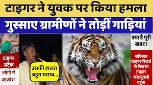 Sariska Tiger Attack: Kotputli  में युवक पर हमला | Viral Video | Breaking News