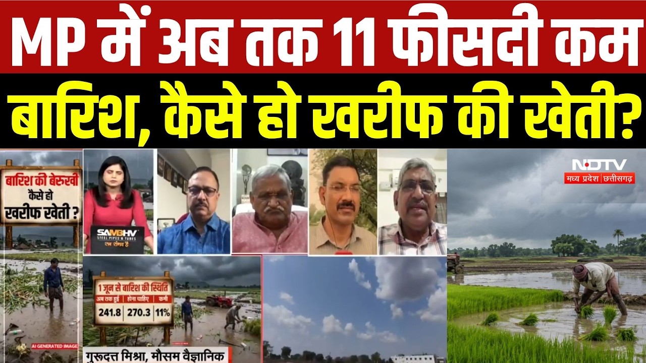 MP Monsoon Update: MP में अब तक 11 फीसदी कम बारिश, कैसे हो Kharif खेती? |Weather Report |Rainfall