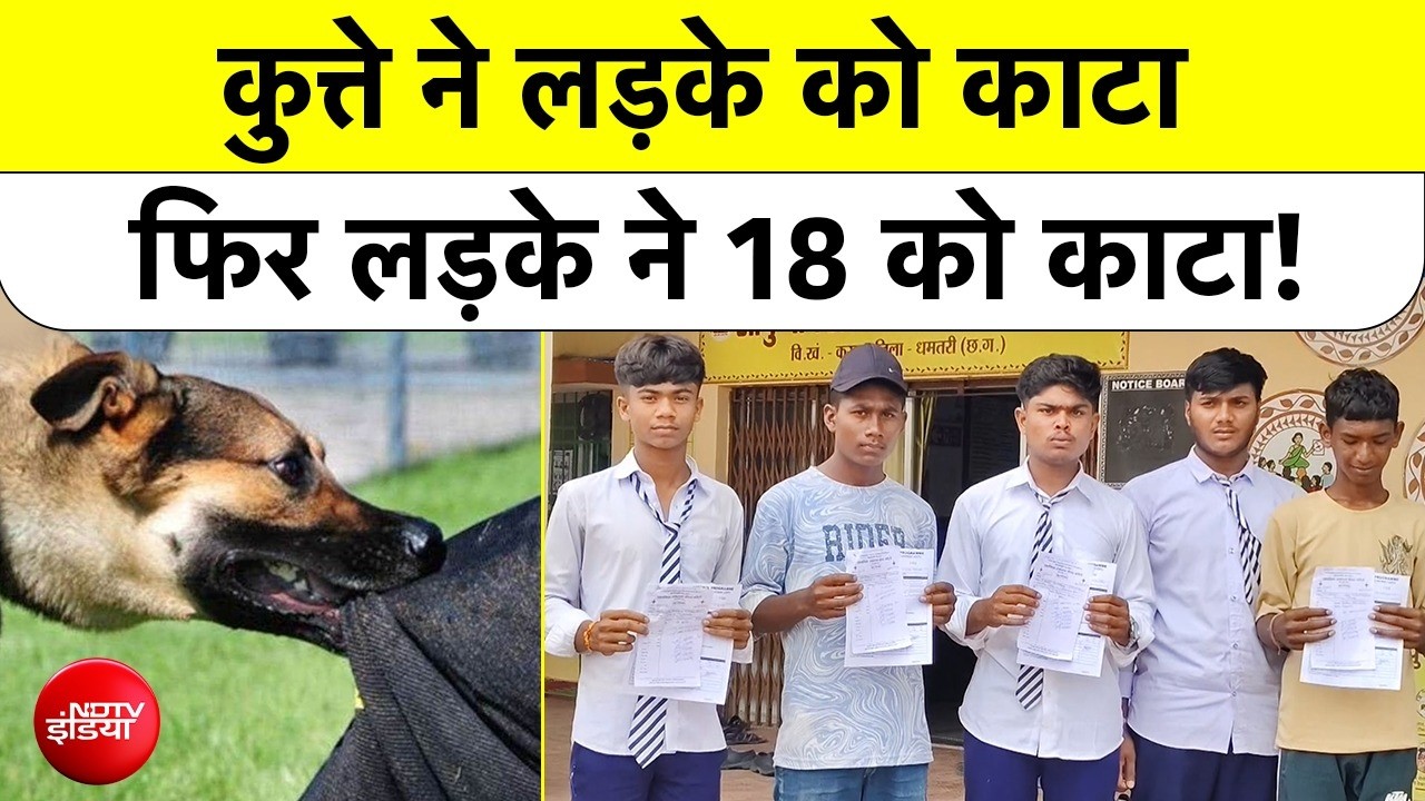 Chhattisgarh News | Dog Bite | कुत्ते ने लड़के को काटा, फिर लड़के ने 18 को काटा! Rabies Viral Video