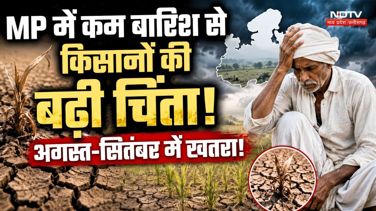 MP Monsoon Update: MP में कम Rain से Farmers की बढ़ी चिंता! August-September में खतरा!