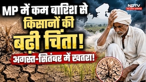 MP Monsoon Update: MP में कम Rain से Farmers की बढ़ी चिंता! August-September में खतरा!