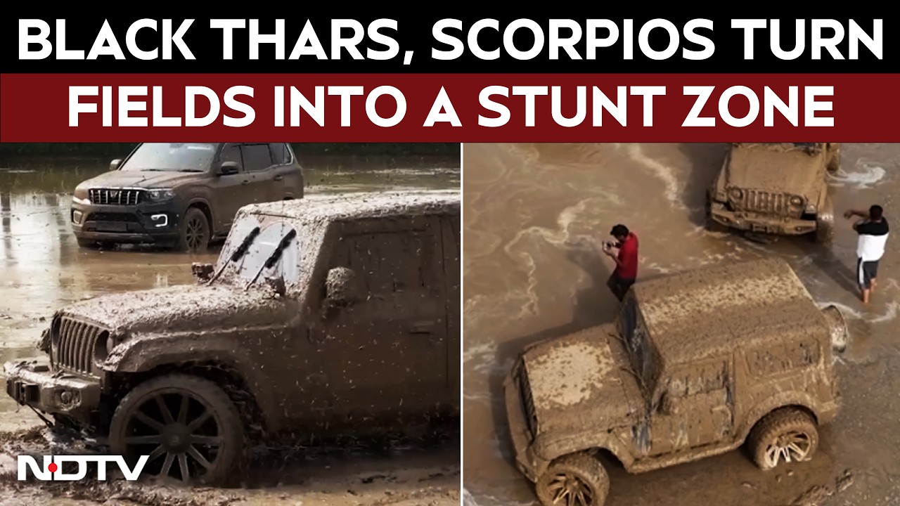 Gurugram News | Gurugram Viral Video: Black Thars, Scorpios Turn Farmland Into Stunt Arena For Reels