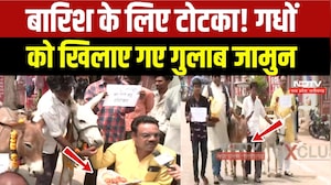 Donkeys Eating Gulab Jamun: रूठे Monsoon को मनाने के लिए Bhopal में गधों की दावत! Viral Video | MP
