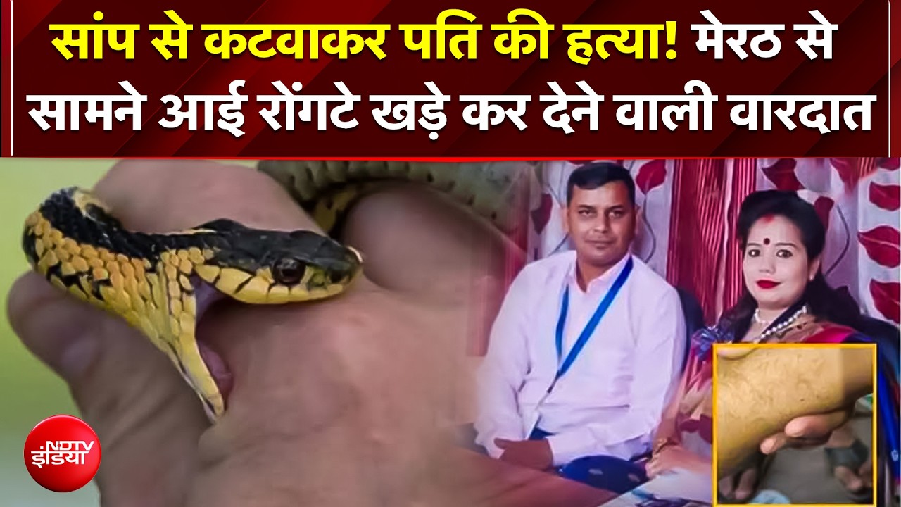 सांप से कटवाकर पति की हत्या! Meerut में सामने आई रोंगटे खड़े कर देने वाली वारदात