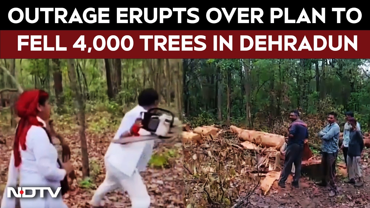 'Save Shivalik' Protest: Outrage Erupts Over Plan to Fell 4,000 Trees in Dehradun