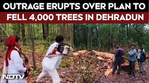 'Save Shivalik' Protest: Outrage Erupts Over Plan to Fell 4,000 Trees in Dehradun