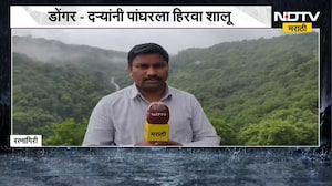 पावसामुळे कोकणाचं निसर्ग सौदर्य खुललं, रत्नागिरीतून NDTV मराठीचा आढावा | NDTV मराठी