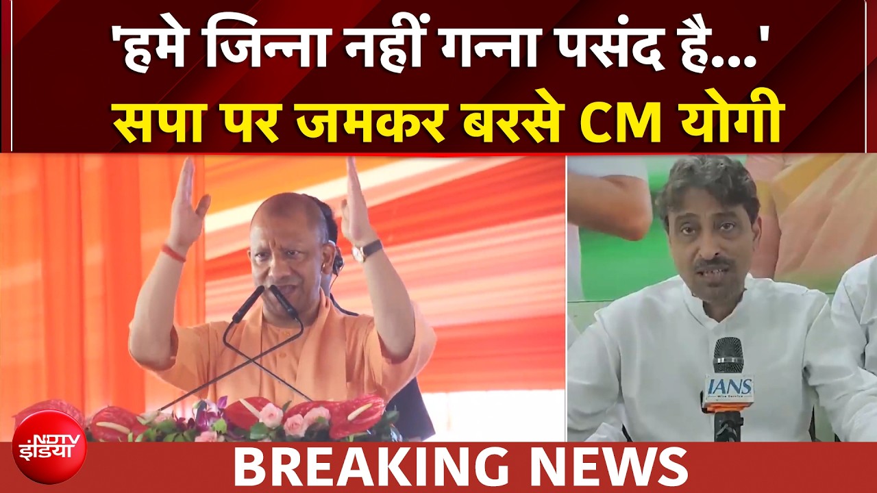 'हमे जिन्ना नहीं गन्ना पसंद है...' संभल में सपा पर CM योगी का तंज