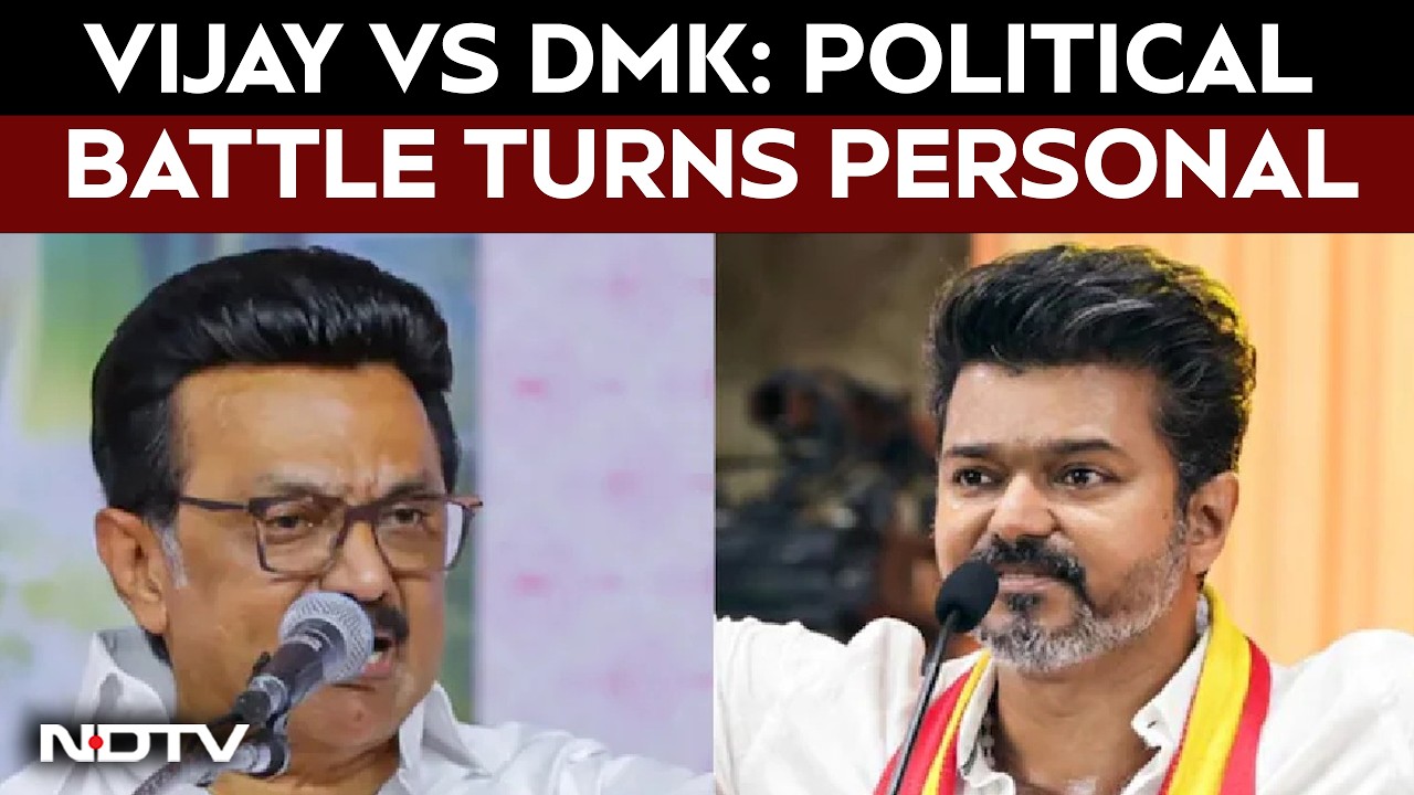 Tamil Nadu Politics: DMK Leader's Personal Jibe At Vijay Sparks Row