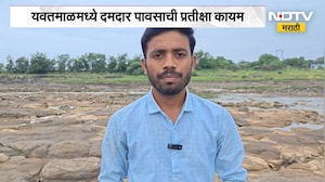 Yavtmal मध्ये पाणी आणि शेती पावसाअभावी संकटात | NDTV मराठी