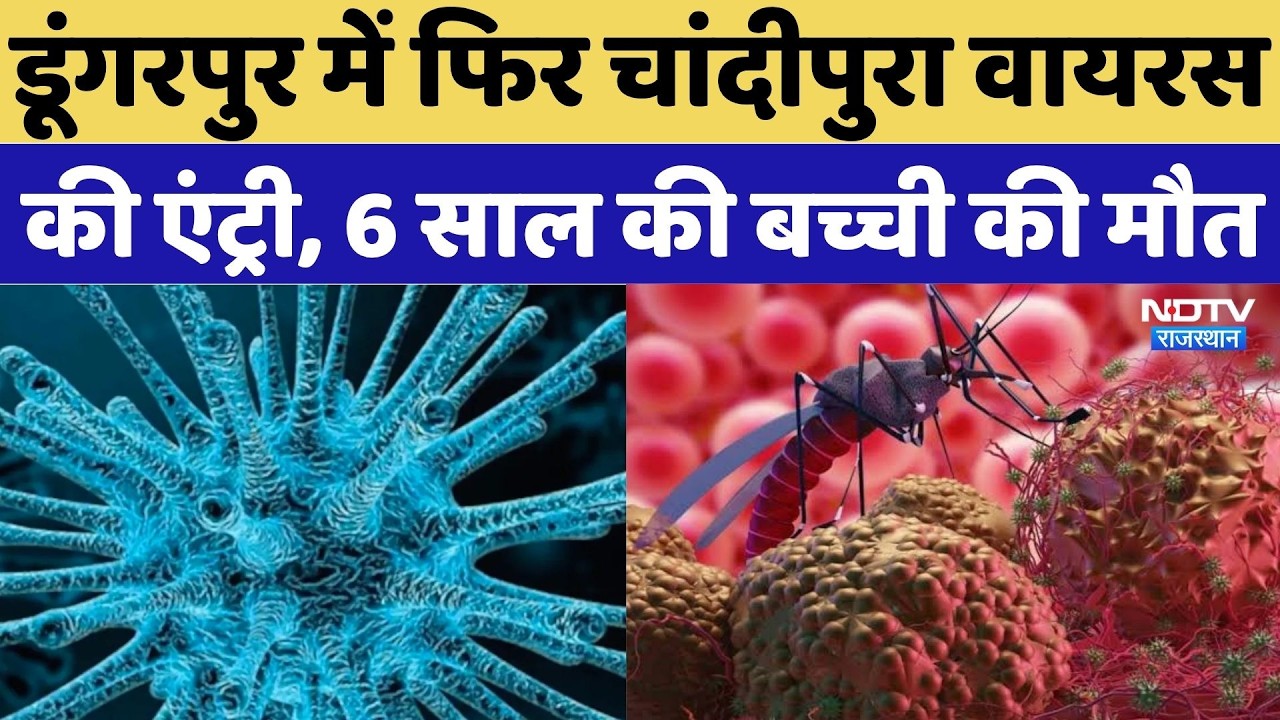 Dungarpur Chandipura Virus Alert: डूंगरपुर में फिर चांदीपुरा वायरस की एंट्री, 6 साल की बच्ची की मौत