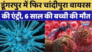 Dungarpur Chandipura Virus Alert: डूंगरपुर में फिर चांदीपुरा वायरस की एंट्री, 6 साल की बच्ची की मौत