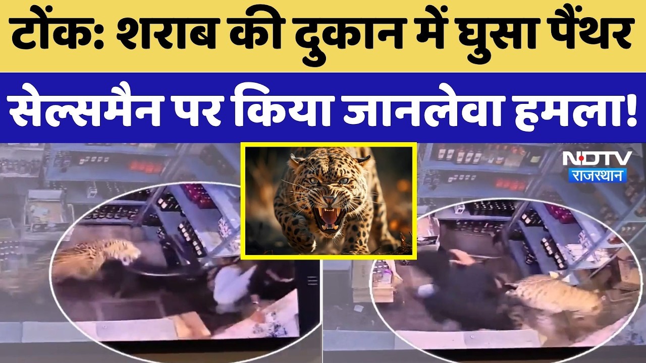 Tonk Panther Attack: Liquor shop में घुसा पैंथर | Viral Video | Breaking News | Top News