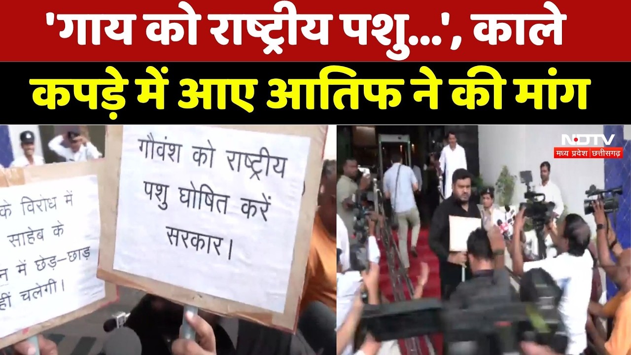 MP News: 'गाय को राष्ट्रीय पशु...', काले कपड़े में आए आतिफ ने की मांग। Top News । Congress। Breaking