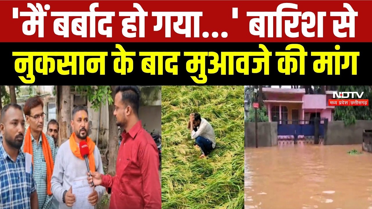 Bilaspur Weather Alert: 'मैं बर्बाद हो गया...' Heavy Rain से नुकसान के बाद मुआवजे की मांग
